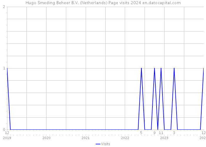 Hugo Smeding Beheer B.V. (Netherlands) Page visits 2024 