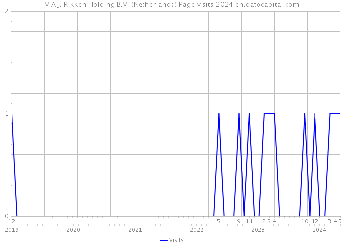 V.A.J. Rikken Holding B.V. (Netherlands) Page visits 2024 