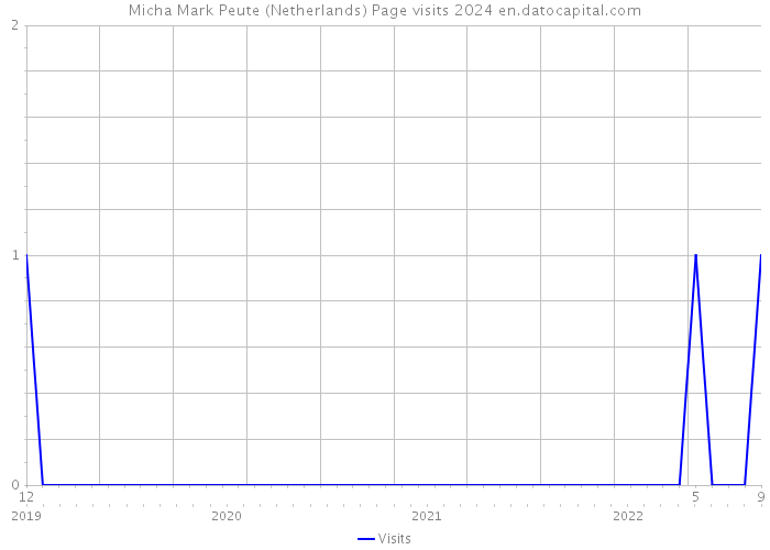 Micha Mark Peute (Netherlands) Page visits 2024 