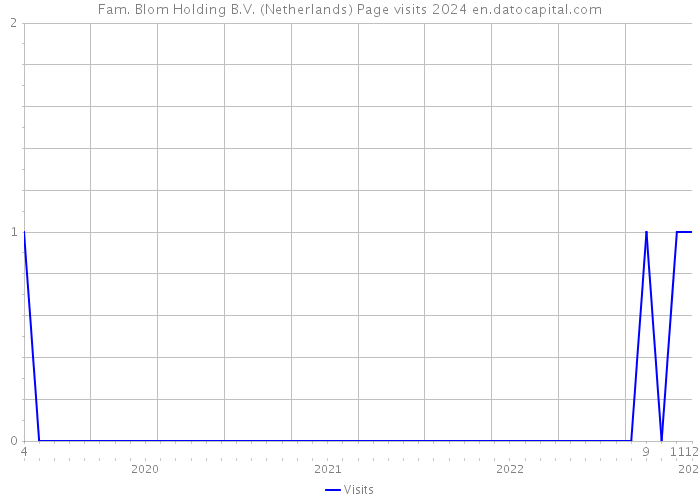 Fam. Blom Holding B.V. (Netherlands) Page visits 2024 