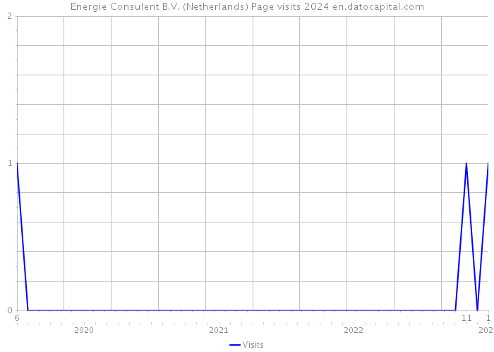 Energie Consulent B.V. (Netherlands) Page visits 2024 