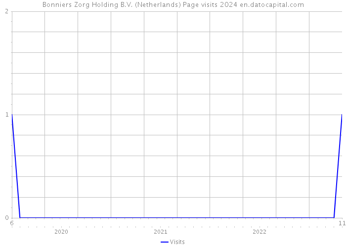 Bonniers Zorg Holding B.V. (Netherlands) Page visits 2024 