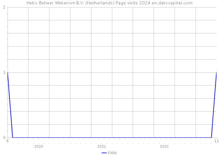 Hebo Beheer Wekerom B.V. (Netherlands) Page visits 2024 