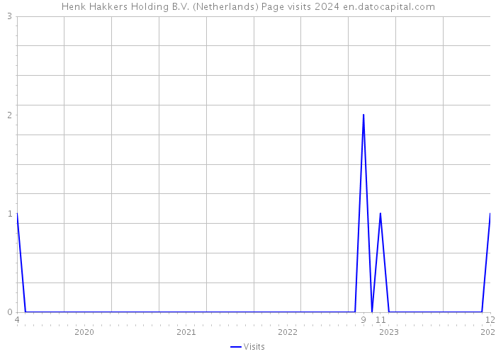 Henk Hakkers Holding B.V. (Netherlands) Page visits 2024 