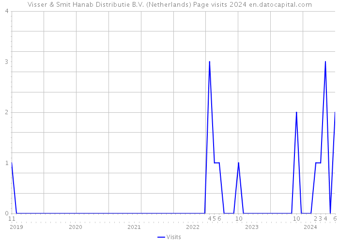Visser & Smit Hanab Distributie B.V. (Netherlands) Page visits 2024 