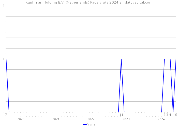 Kauffman Holding B.V. (Netherlands) Page visits 2024 