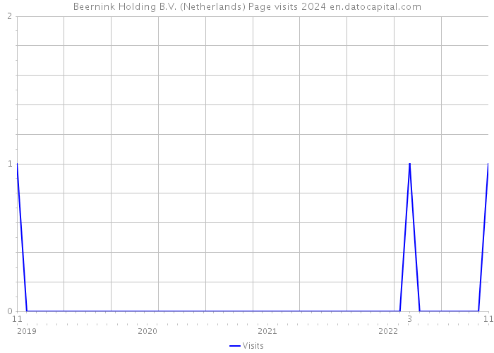 Beernink Holding B.V. (Netherlands) Page visits 2024 