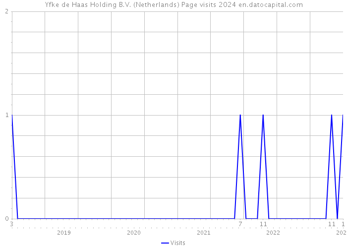 Yfke de Haas Holding B.V. (Netherlands) Page visits 2024 