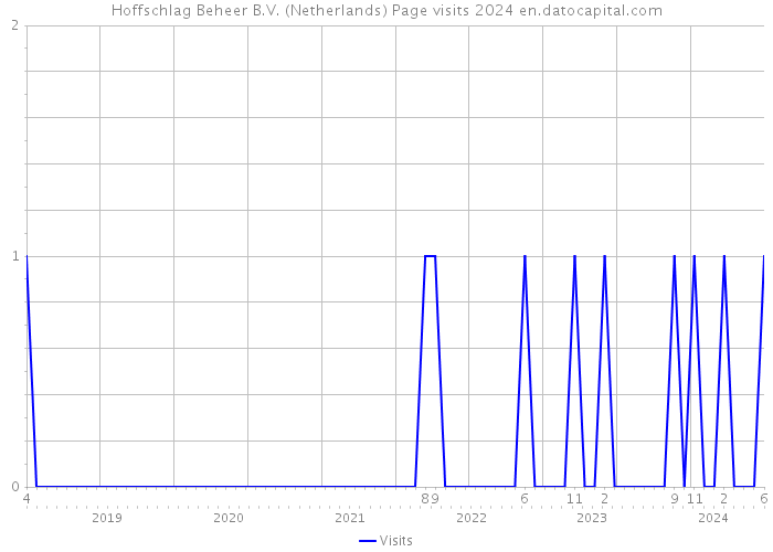 Hoffschlag Beheer B.V. (Netherlands) Page visits 2024 