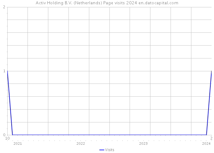 Activ Holding B.V. (Netherlands) Page visits 2024 
