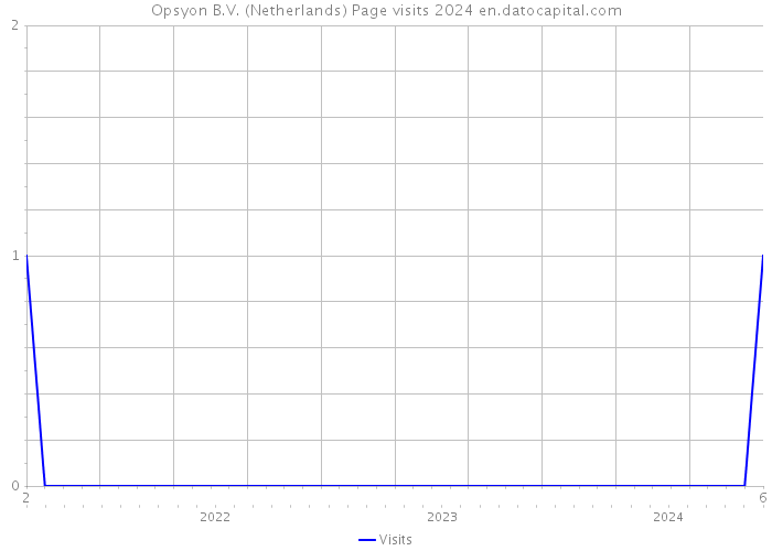 Opsyon B.V. (Netherlands) Page visits 2024 