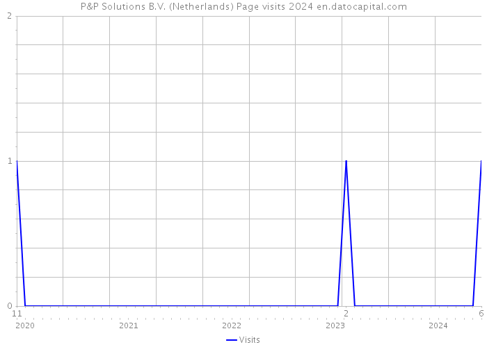 P&P Solutions B.V. (Netherlands) Page visits 2024 