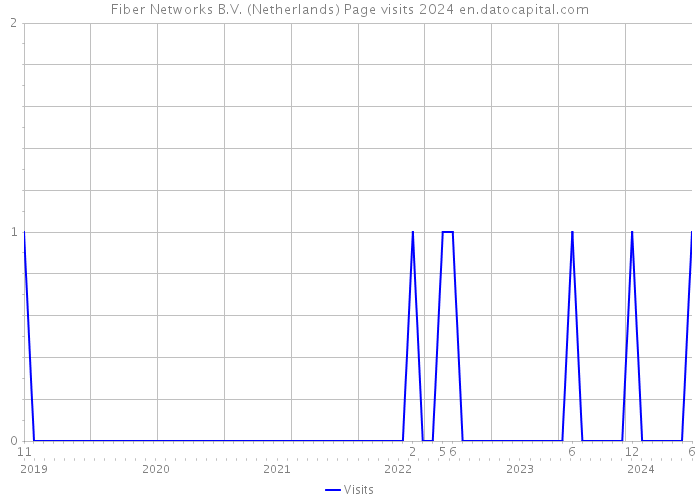 Fiber Networks B.V. (Netherlands) Page visits 2024 