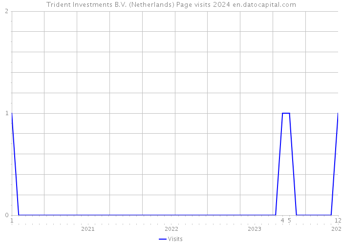 Trident Investments B.V. (Netherlands) Page visits 2024 