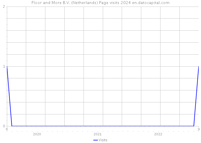 Floor and More B.V. (Netherlands) Page visits 2024 