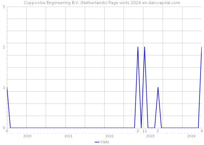 Coppoolse Engineering B.V. (Netherlands) Page visits 2024 