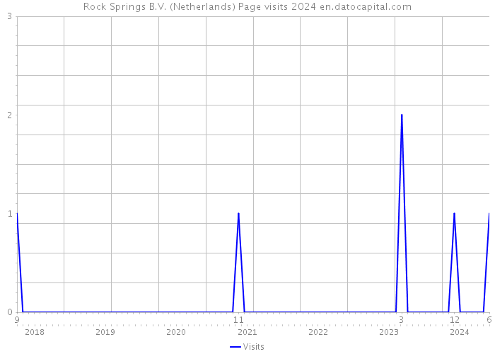 Rock Springs B.V. (Netherlands) Page visits 2024 