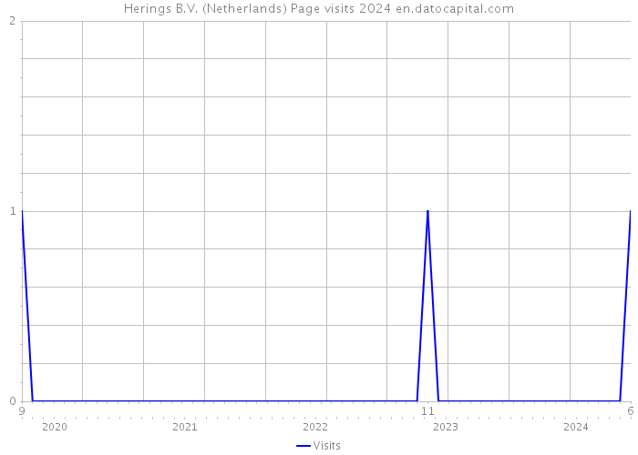 Herings B.V. (Netherlands) Page visits 2024 