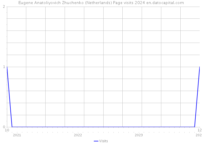 Eugene Anatoliyovich Zhuchenko (Netherlands) Page visits 2024 