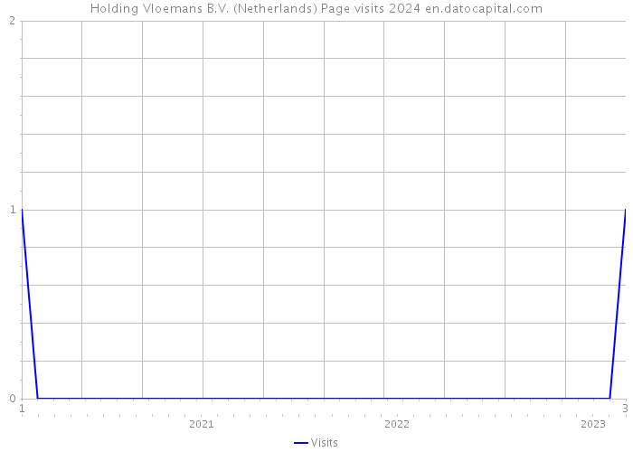 Holding Vloemans B.V. (Netherlands) Page visits 2024 