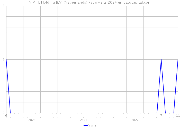 N.M.H. Holding B.V. (Netherlands) Page visits 2024 