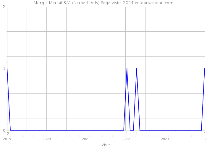 Murgia Metaal B.V. (Netherlands) Page visits 2024 