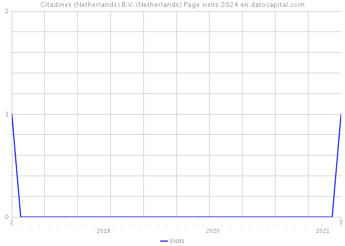 Citadines (Netherlands) B.V. (Netherlands) Page visits 2024 