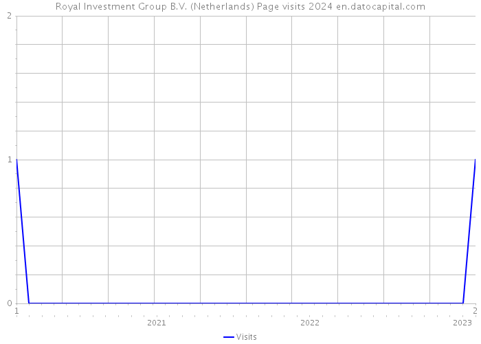 Royal Investment Group B.V. (Netherlands) Page visits 2024 