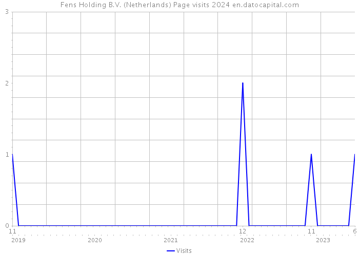 Fens Holding B.V. (Netherlands) Page visits 2024 