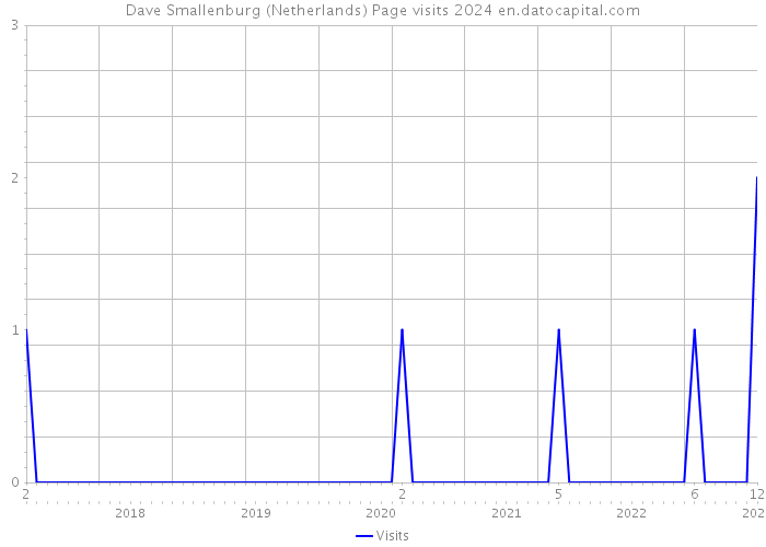 Dave Smallenburg (Netherlands) Page visits 2024 