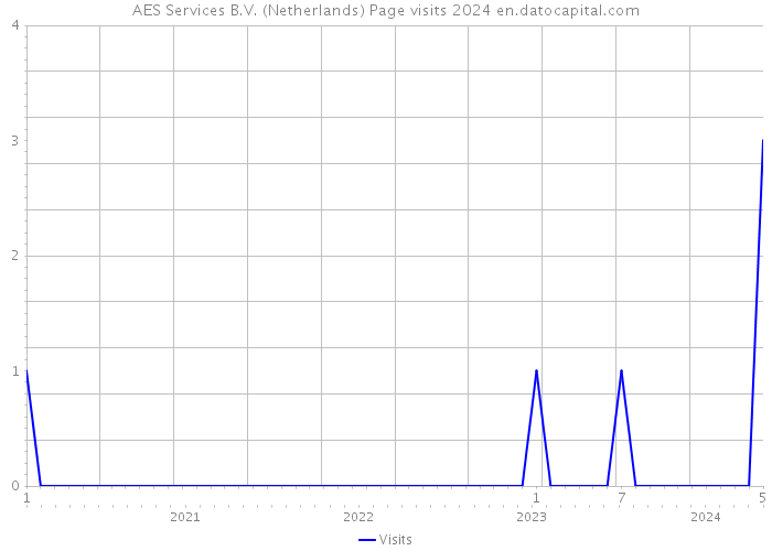 AES Services B.V. (Netherlands) Page visits 2024 