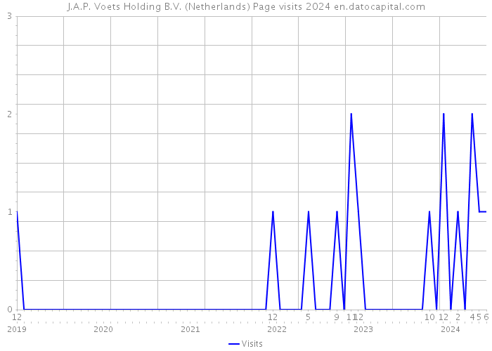 J.A.P. Voets Holding B.V. (Netherlands) Page visits 2024 
