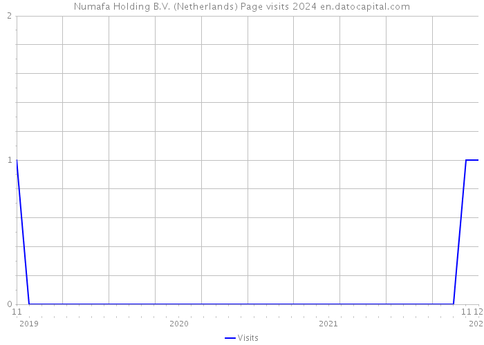 Numafa Holding B.V. (Netherlands) Page visits 2024 