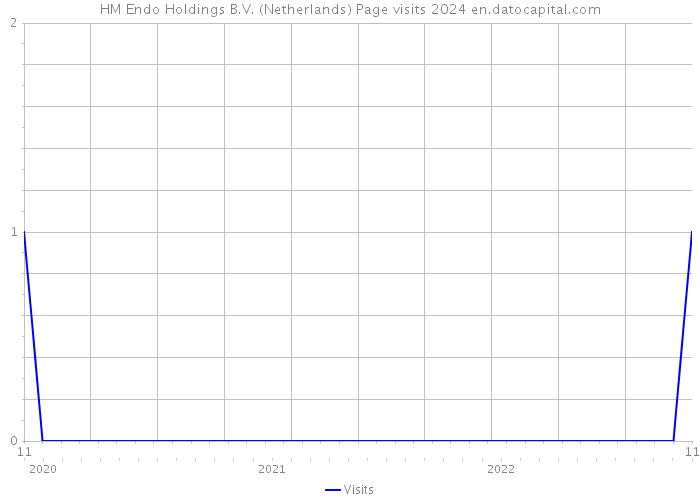 HM Endo Holdings B.V. (Netherlands) Page visits 2024 