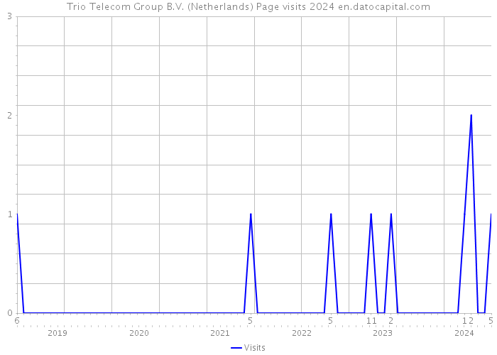 Trio Telecom Group B.V. (Netherlands) Page visits 2024 