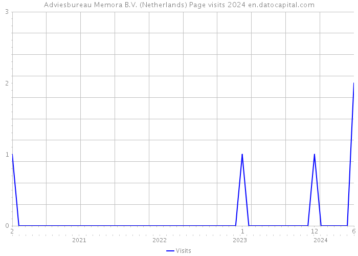 Adviesbureau Memora B.V. (Netherlands) Page visits 2024 