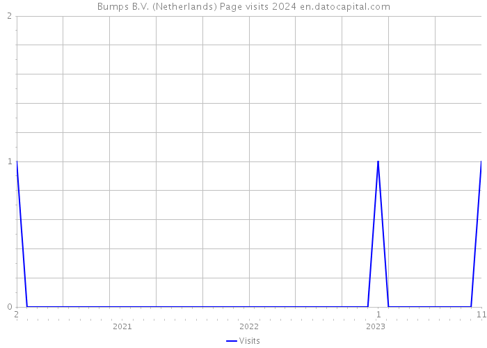 Bumps B.V. (Netherlands) Page visits 2024 