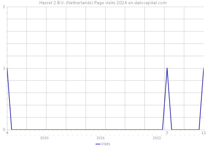 Hasret 2 B.V. (Netherlands) Page visits 2024 