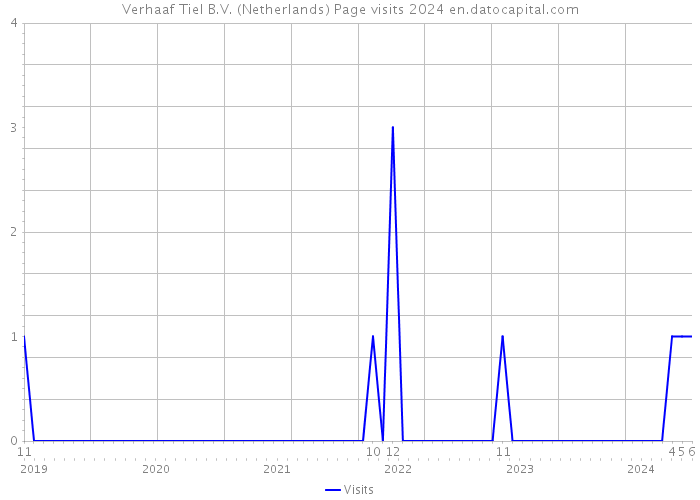 Verhaaf Tiel B.V. (Netherlands) Page visits 2024 