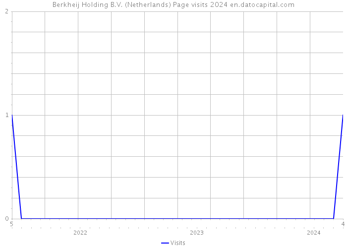 Berkheij Holding B.V. (Netherlands) Page visits 2024 