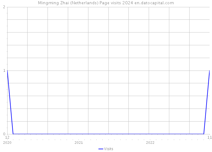 Mingming Zhai (Netherlands) Page visits 2024 