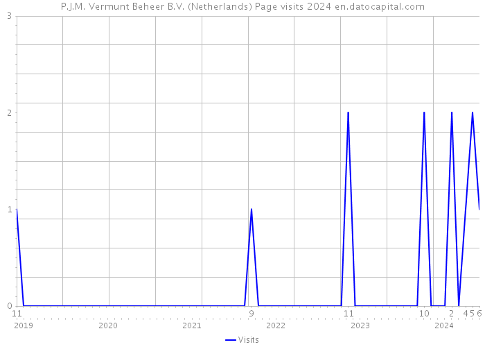 P.J.M. Vermunt Beheer B.V. (Netherlands) Page visits 2024 