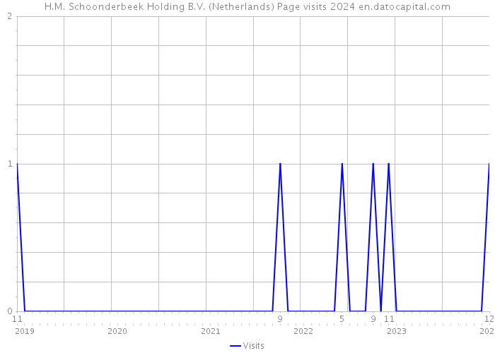 H.M. Schoonderbeek Holding B.V. (Netherlands) Page visits 2024 