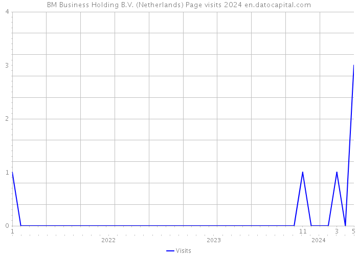BM Business Holding B.V. (Netherlands) Page visits 2024 