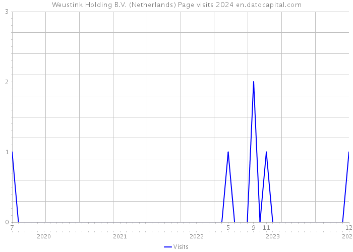 Weustink Holding B.V. (Netherlands) Page visits 2024 