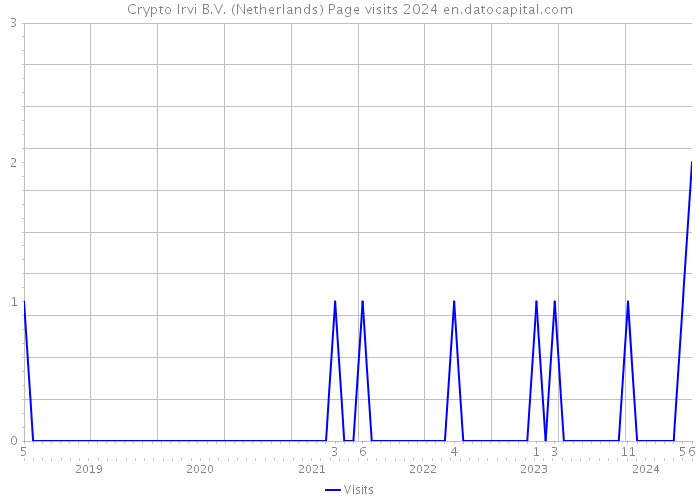 Crypto Irvi B.V. (Netherlands) Page visits 2024 