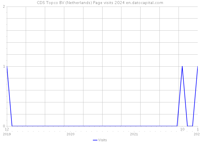 CDS Topco BV (Netherlands) Page visits 2024 