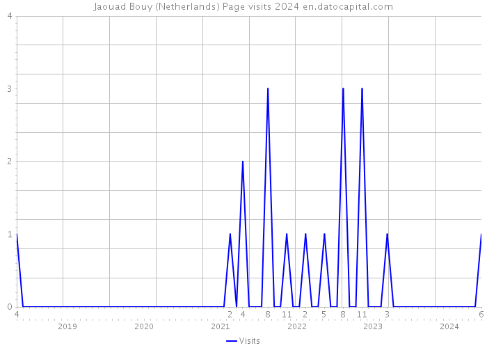 Jaouad Bouy (Netherlands) Page visits 2024 
