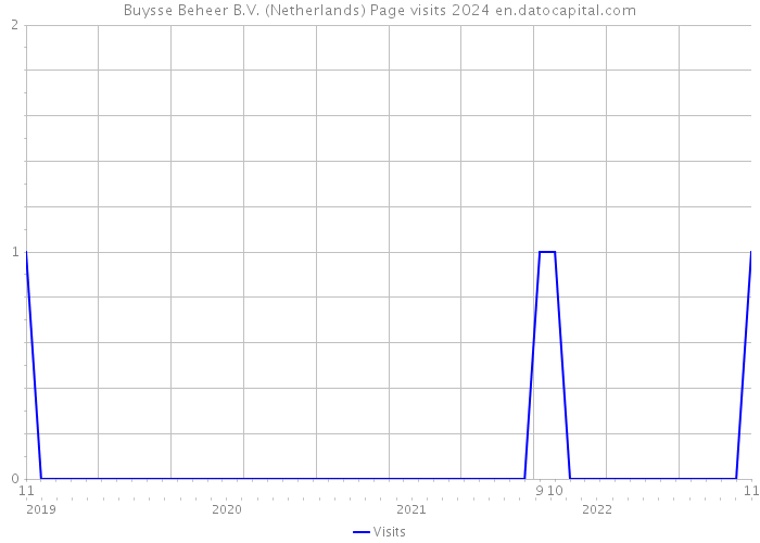 Buysse Beheer B.V. (Netherlands) Page visits 2024 