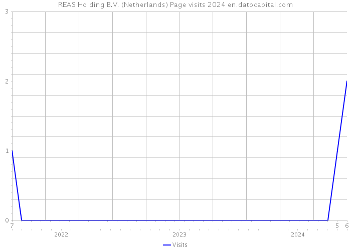 REAS Holding B.V. (Netherlands) Page visits 2024 